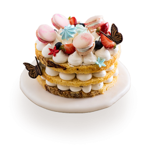 Tart Cake &mdash; Round Macaron